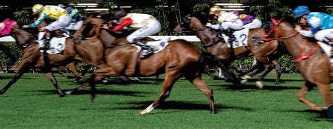 The Gambler Who Cracked the Horse.